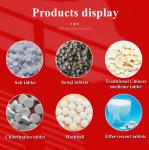 Electric Rotary Tablet Press Machine ZP-9B