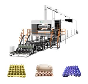 Quality Paper Pulp Vegetable Tray Machine Automatic Apple Tray Production Line wholesale