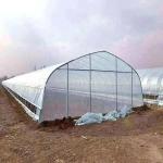 Poly Tunnel Plastic UV Resistant Film Tomato Herb Hydroponic Single Greenhouse