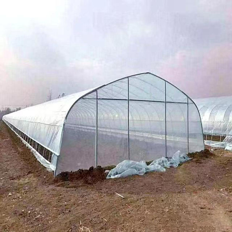 Poly Tunnel Plastic UV Resistant Film Tomato Herb Hydroponic Single Greenhouse