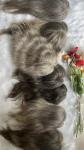 100% virgin hair mono topper natural wave European hair topper for old lady hair