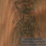 Grain Crotch Natural Wood Veneer Sheets Quarter Cut American Walnut