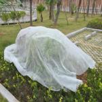 3.2m Agricultural Mulch Film