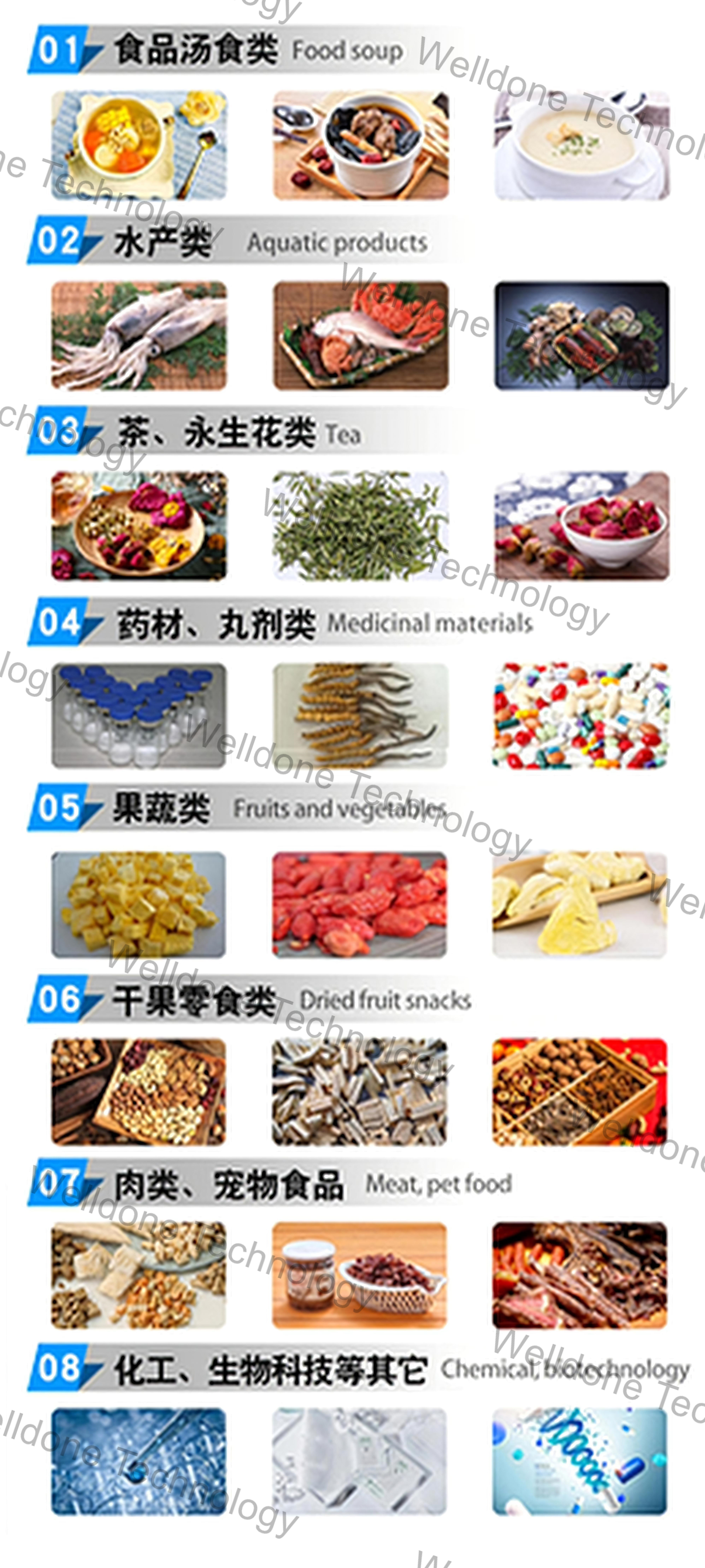 GMP Standard Automatic Functioning Fast Drying Speed Plant Vacuum Freeze Dryer