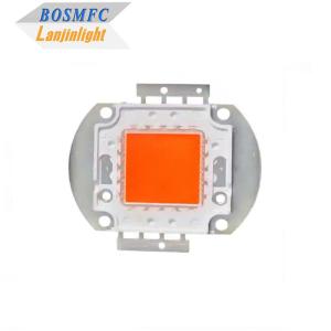 Quality 10W 30W Indoor LED Grow Light High Power LED COB Full Spectrum wholesale