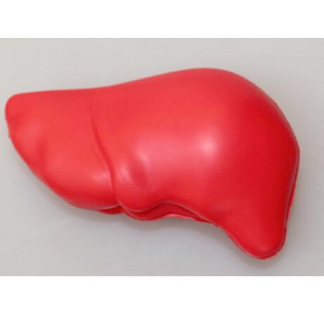 PU Foam Liver Shape Promotional Stress Relievers For Hospital Donation Patient