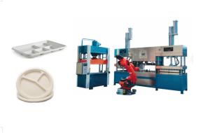 Quality Biodegradable Pulp Molded Plate Production Line wholesale