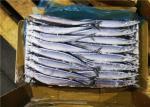 #1 Whole Round Pacific Ocean Saury Frozen Sea Fish
