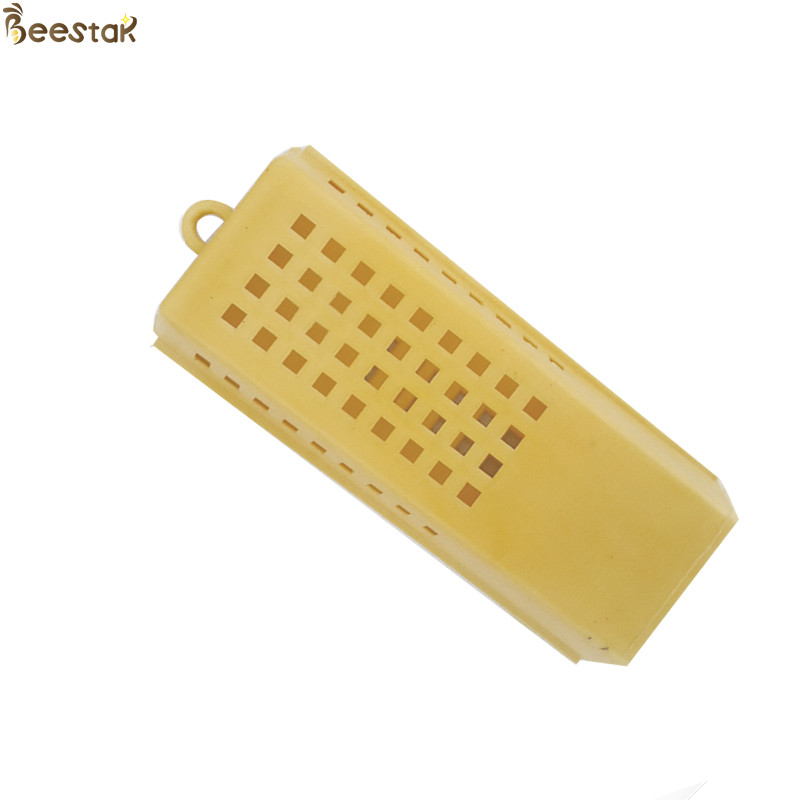 Beekeeping Queen Rearing Bamboo And Plastic Queen Bee Rearing Cage