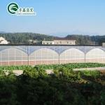 Transparent Beach House Tent Greenhouse with Hot Galvanizing Aluminum Steel