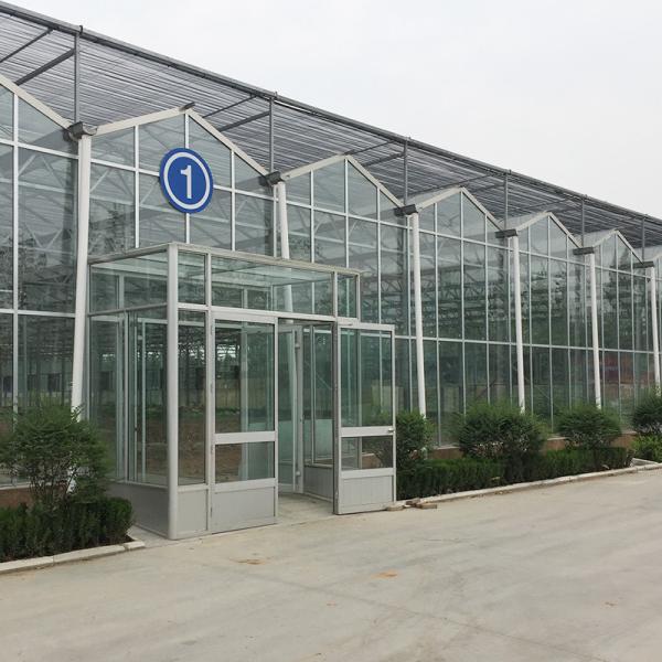 Vegetable Fruits Flowers Glass Agriculture Greenhouse with Inside Outside
