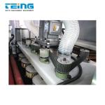 Woodworking Machinery TDR-1000 Wood Brush Polishing Machine For Woodworking
