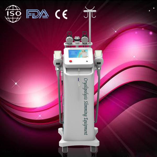 Professional fat reduction cryolipolysis slimming machine with 5 handles