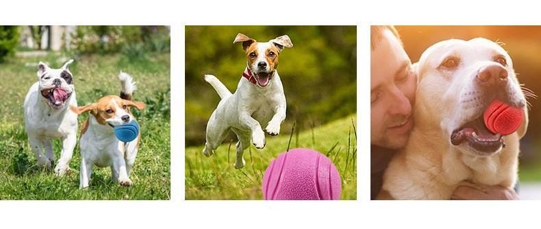 Dog Chew Toys Tpr Rubber Puppy Treat Toy Ball Feeding Ball For Pet in Light blue/yellow/red/dark blue/orange/green Colors
