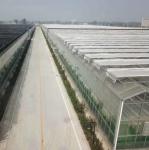 Farm Agriculture Greenhouse Equipments Multi Span Glass Inner Outer Shading