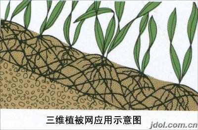 Modern Design HDPE Erosion Control Mat for Slope Protection in River and Mountain Projects