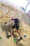 10pcs Gecko King Safety Mini Adult Rock Climbing Holds Perfect for Indoor