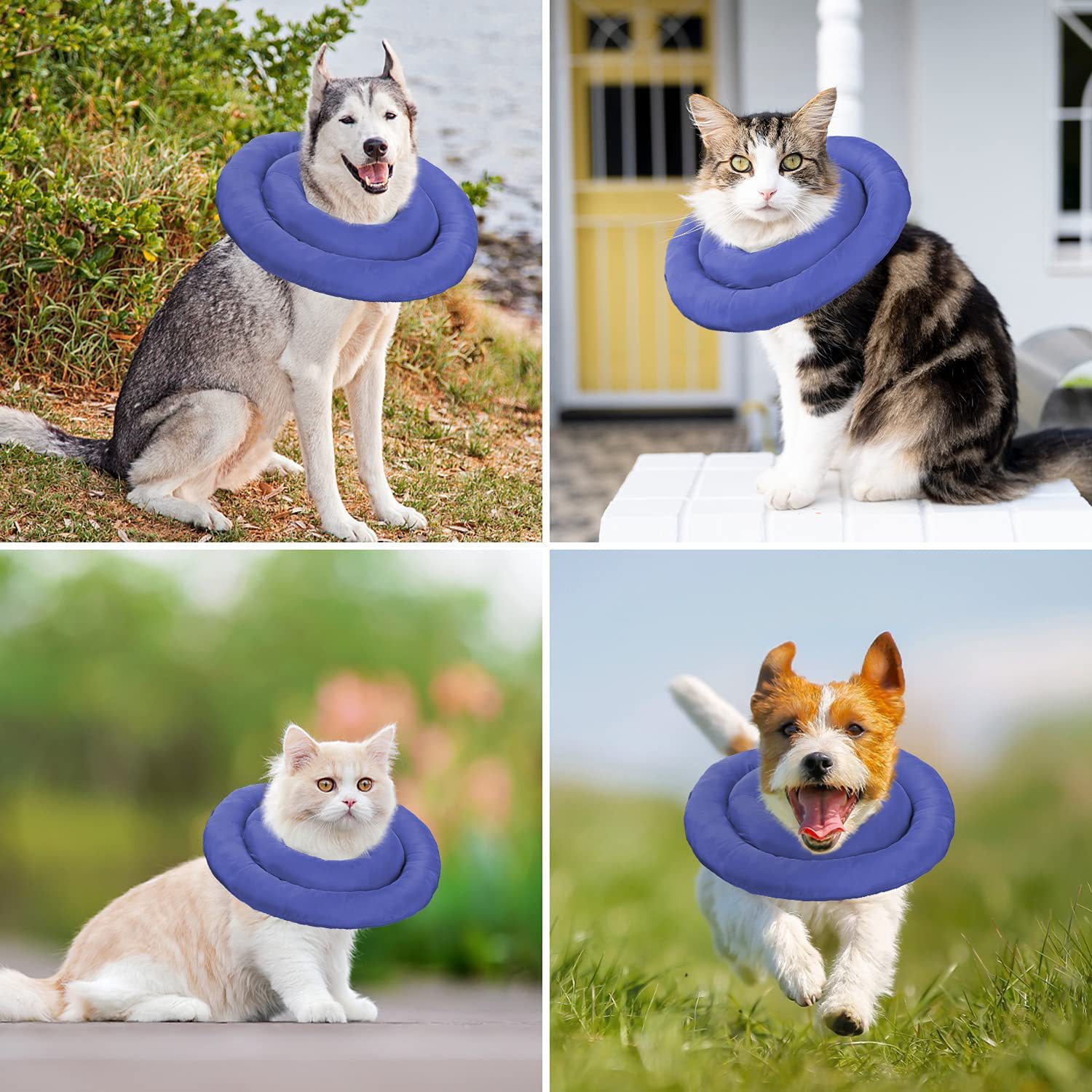 Pet Dog Collar Waterproof with Customized Logo Print Pattern Custom Portable Soft