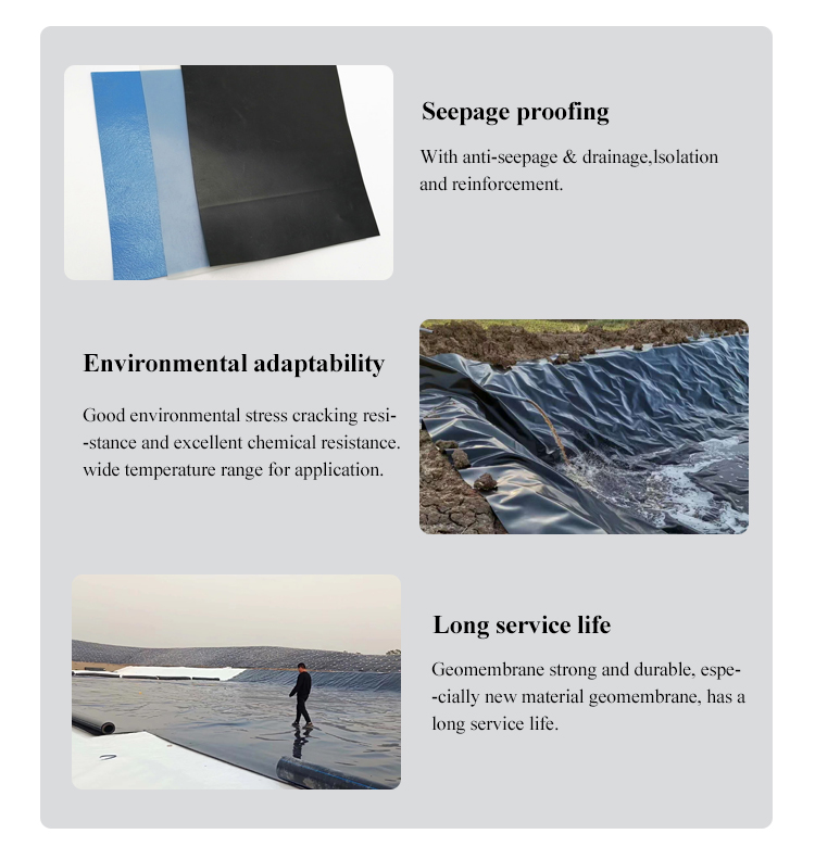 1mm 1.5mm HDPE Geomembrane Liner for Shrimp Pond Aquafarm After-sale Service Included