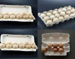Newspaper Egg Tray Carton Making Machine Pulp Molding 4000*2000*1800mm