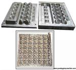 Plastic egg tray mold