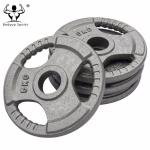 Gray Painted Cast Iron Fitness Equipment Barbells Hammertone Finish