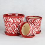 Beauty And Functionality Of Ceramic Pots For Any Plant Shop Small Size