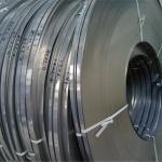 Stainless Cold Rolled Steel Strip Polished 304l 304 Stainless Metal Strips 16mm