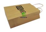 Pantone Twisted Handle Paper Bags , Automatic Machine Made Brown Kraft Paper