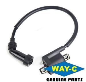 Quality Motorcycle Moto Ignition Coil Assy 1BK-H2310-00 For YAMAHA YBR125 wholesale