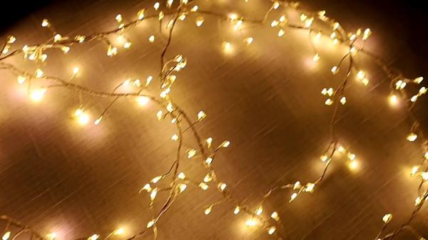 Waterproof LED Cluster Fairy Light Firecrackers String Copper Silver Wire