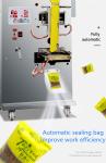 Plastic Bag Filling Sealing Spices Vertical Powder Packing Machine