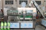 20000BPH Aloe Pulp Juice Filling Machine Glass Bottle Carbonated Drink Filling