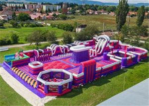 Quality Durable Inflatable Theme Park With PVC Tarpaulin Material Purple And Blue wholesale