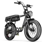 Max Speed 30-50Km/h Disc Brake Electric Fat Tire Bike 48V 400W Motor Ebike