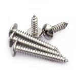 Stainless steel 304 cross large round head mushroom head self tapping screw