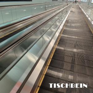 Quality 0.5m/S EN115 Moving Walkway Sidewalk 1000mm Pallet Width With Light For Supermarket wholesale