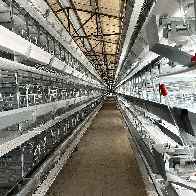 100,000 Birds H Type 8-Tier Layer Chicken Cage For Egg Hens Project Fully Automatic Layer Cage