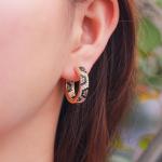 Fashion earring jewelry CZ crystal Beautiful cubic zirconia brass earrings