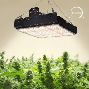 Quality Full Spectrum T5 Led Grow Light For Indoor Plants 250w wholesale