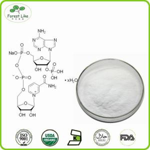 Quality Best price CAS 53-84-9 Nicotinanide Adenine Dinucleotide wholesale