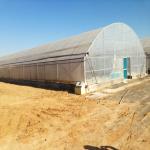 8m Wide Span Tomato Greenhouse Farming Commercial Poly Tunnel With Shading