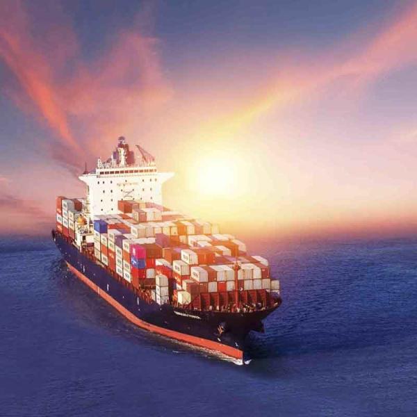 Affordable Shipping Agent From To Canada Sea Freight Service For FCL And LCL