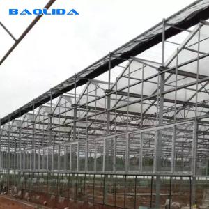Quality Venlo Commercial Multi Span Steel Structure Polycarbonate Sheet Greenhouse wholesale