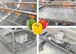 Chili Pepper Bubble Washing Machine Hot Sale Vegetables Industrial