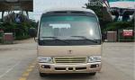 Electric Wheelchair Ramp Star Minibus Transport Electric Tourist Bus