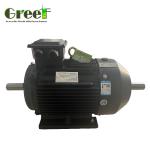 220V 750W-5MW Torque Permanent Magnet Electric Motor With Variable Feequency