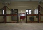 Portable Black Powder Coated Steel Horse Stables 3.6m 3.8m 4.0m