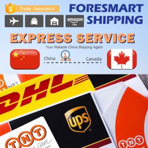 Quality China To Canada UPS DHL Express International Courier wholesale