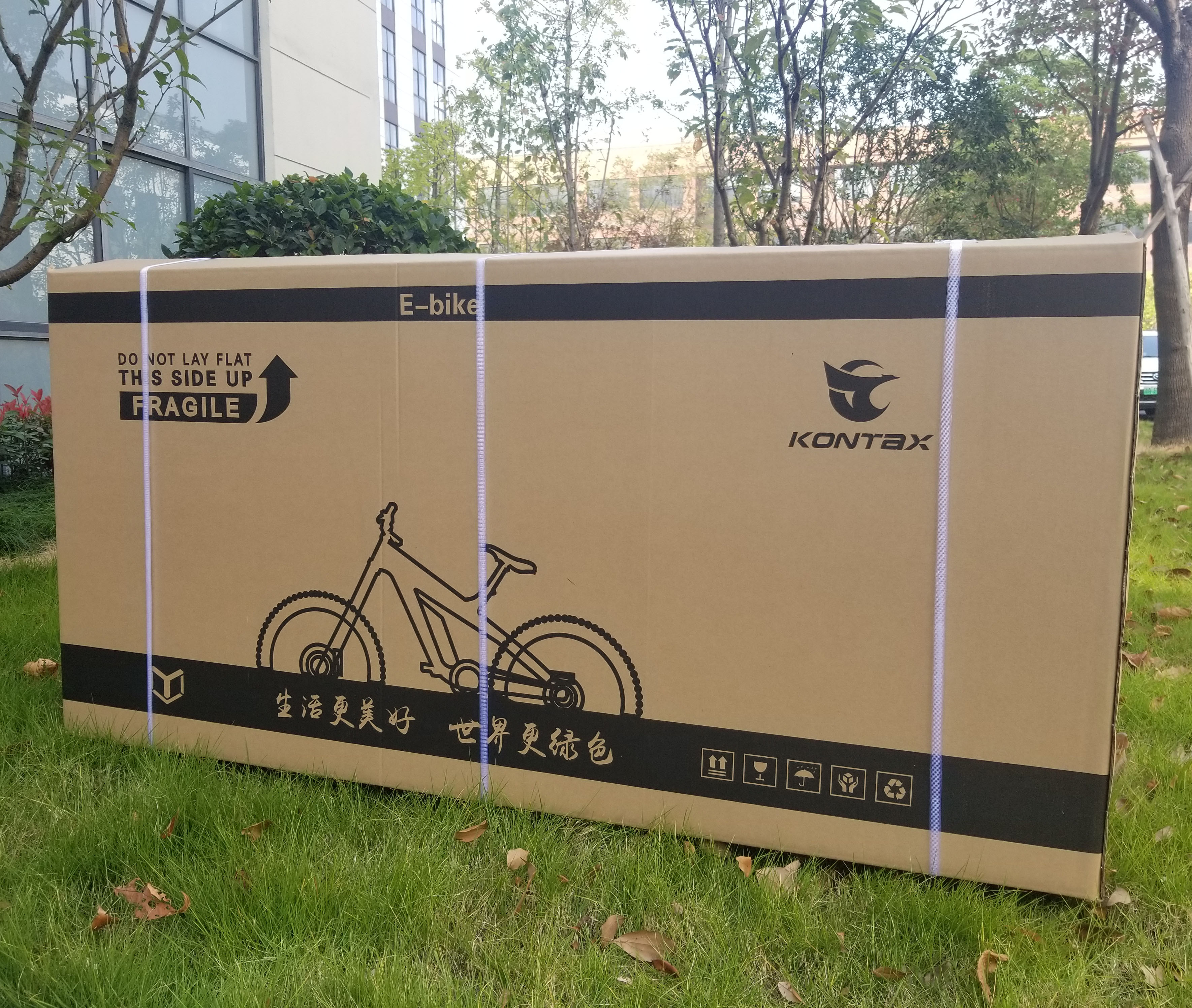 City Riding Made Fun with 48V Retro Electric Bike and Lithium E-Bike Battery Fat Tire